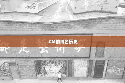 .CM的域名历史