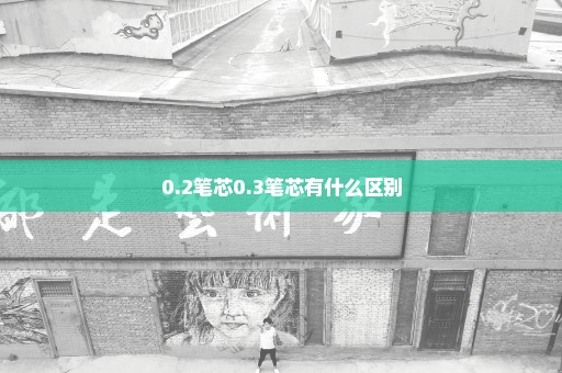 0.2笔芯0.3笔芯有什么区别