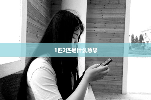 1匹2匹是什么意思