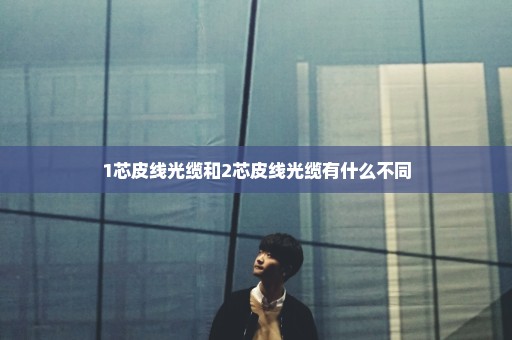 1芯皮线光缆和2芯皮线光缆有什么不同
