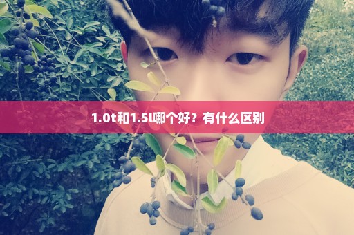 1.0t和1.5l哪个好？有什么区别