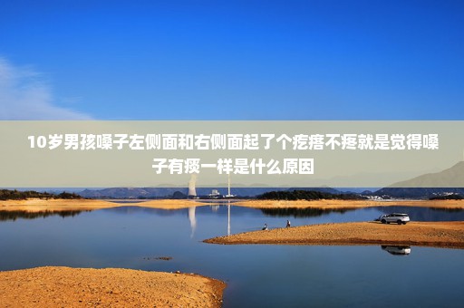 10岁男孩嗓子左侧面和右侧面起了个疙瘩不疼就是觉得嗓子有痰一样是什么原因