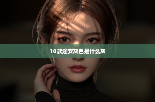10款途安灰色是什么灰