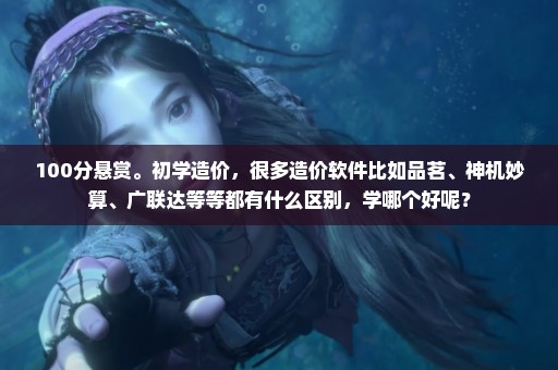 100分悬赏。初学造价，很多造价软件比如品茗、神机妙算、广联达等等都有什么区别，学哪个好呢？