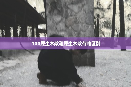 100原生木浆和原生木浆有啥区别