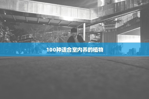 100种适合室内养的植物
