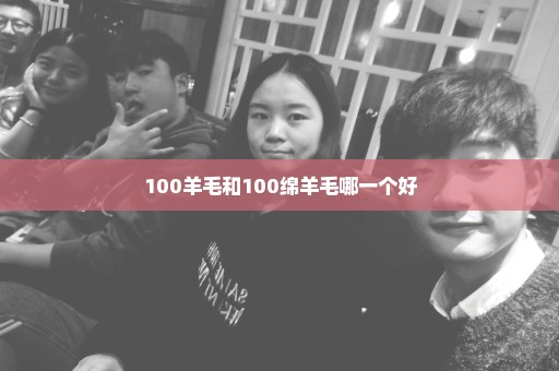 100羊毛和100绵羊毛哪一个好