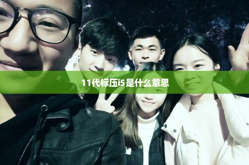 11代标压i5是什么意思