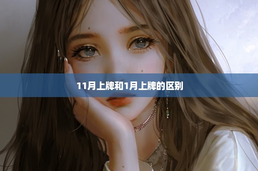 11月上牌和1月上牌的区别