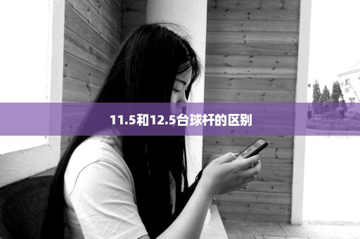 11.5和12.5台球杆的区别
