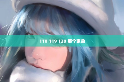 110 119 120 那个更急