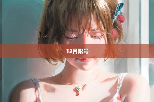 12月限号