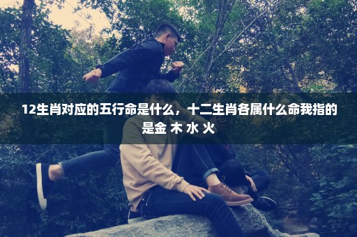 12生肖对应的五行命是什么，十二生肖各属什么命我指的是金 木 水 火