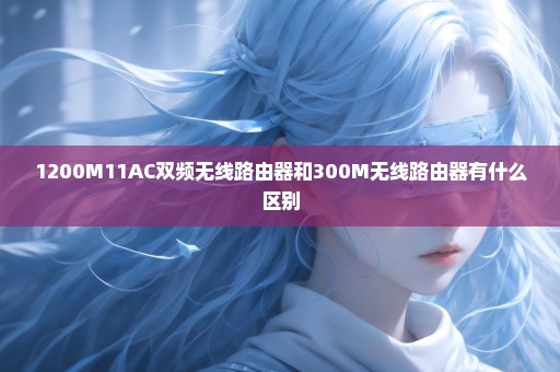 1200M11AC双频无线路由器和300M无线路由器有什么区别