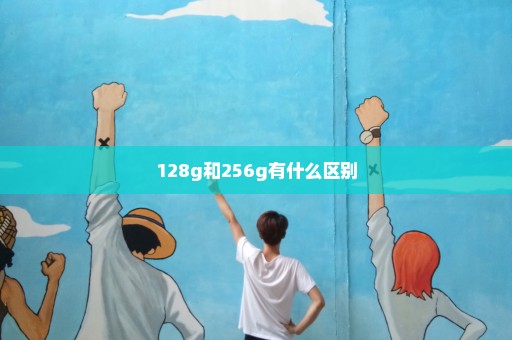 128g和256g有什么区别