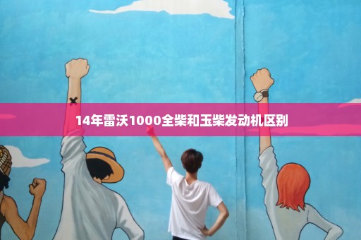 14年雷沃1000全柴和玉柴发动机区别