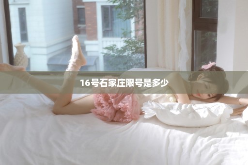 16号石家庄限号是多少