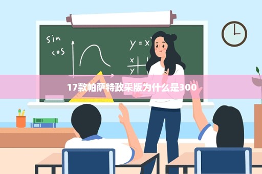 17款帕萨特政采版为什么是300