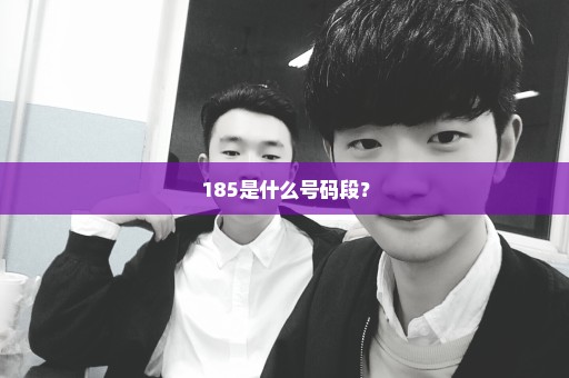 185是什么号码段？