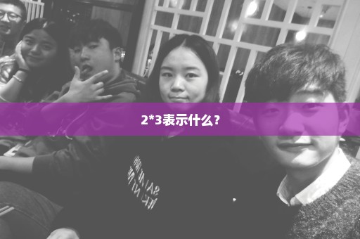 2*3表示什么？