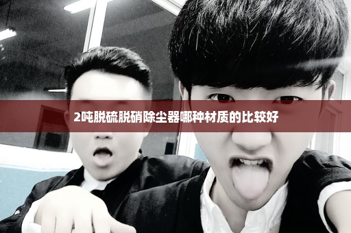 2吨脱硫脱硝除尘器哪种材质的比较好
