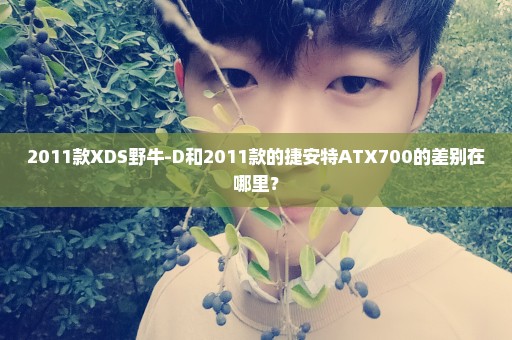 2011款XDS野牛-D和2011款的捷安特ATX700的差别在哪里？