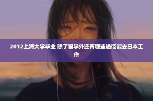 2012上海大学毕业 除了留学外还有哪些途径能去日本工作