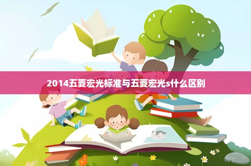 2014五菱宏光标准与五菱宏光s什么区别