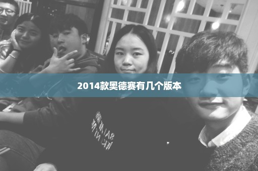 2014款奥德赛有几个版本