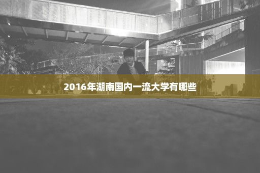 2016年湖南国内一流大学有哪些