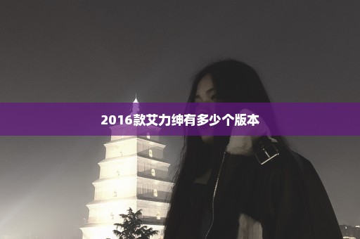 2016款艾力绅有多少个版本
