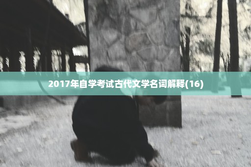 2017年自学考试古代文学名词解释(16)