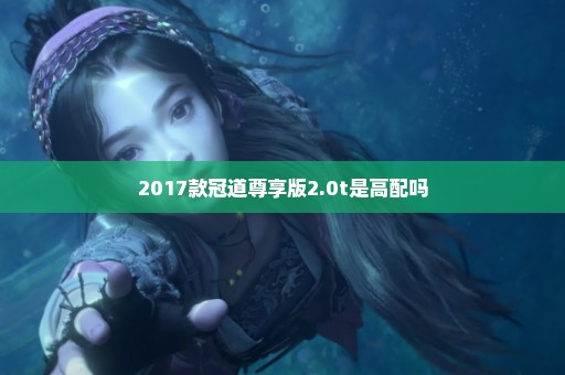 2017款冠道尊享版2.0t是高配吗