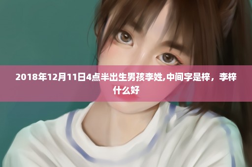 2018年12月11日4点半出生男孩李姓,中间字是梓，李梓什么好