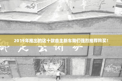 2019年推出的这十款自主新车我们强烈推荐购买！