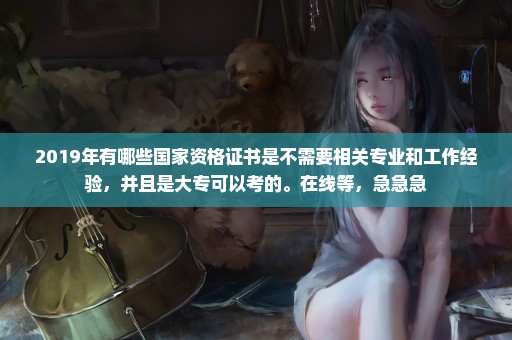 2019年有哪些国家资格证书是不需要相关专业和工作经验，并且是大专可以考的。在线等，急急急