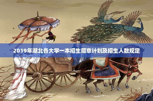 2019年湖北各大学一本招生简章计划及招生人数规定