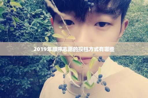 2019年顺序志愿的投档方式有哪些