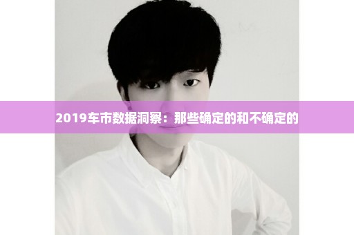 2019车市数据洞察：那些确定的和不确定的