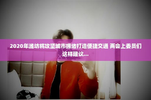 2020年潍坊将攻坚城市拥堵打造便捷交通 两会上委员们这样建议...