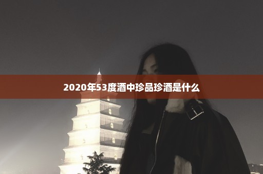 2020年53度酒中珍品珍酒是什么