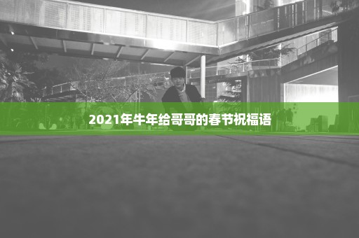 2021年牛年给哥哥的春节祝福语