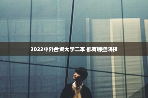 2022中外合资大学二本 都有哪些院校