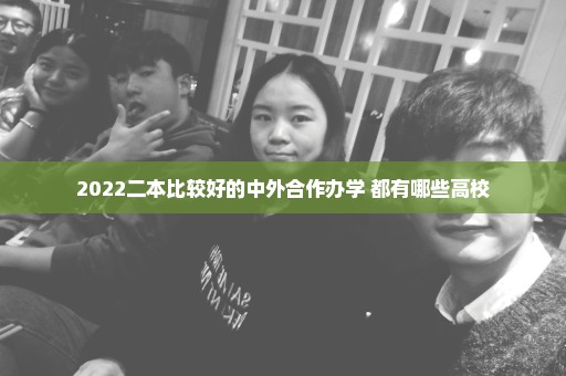 2022二本比较好的中外合作办学 都有哪些高校