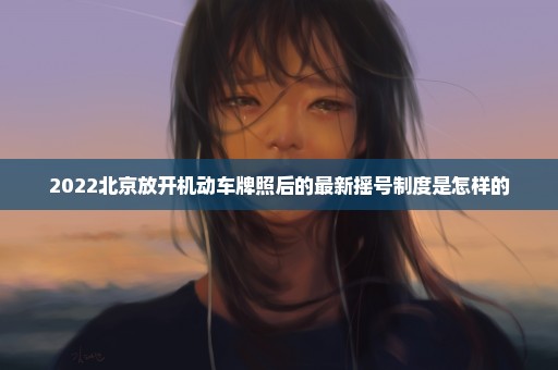 2022北京放开机动车牌照后的最新摇号制度是怎样的