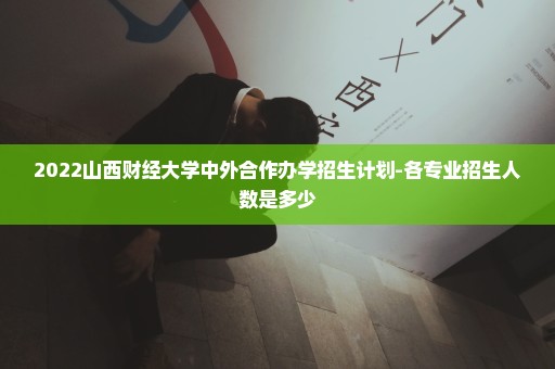 2022山西财经大学中外合作办学招生计划-各专业招生人数是多少