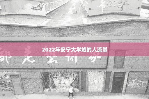 2022年安宁大学城的人流量