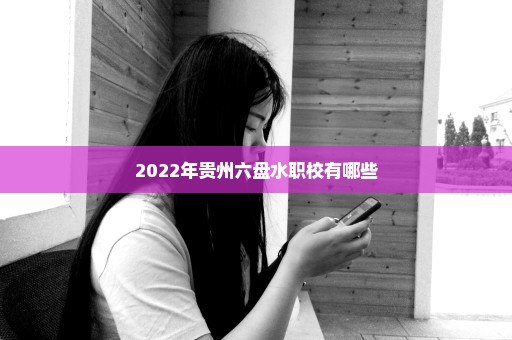 2022年贵州六盘水职校有哪些