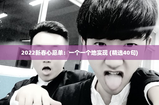 2022新春心愿单：一个一个地实现 (精选40句)