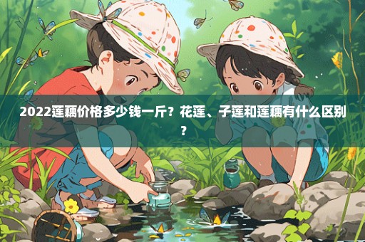 2022莲藕价格多少钱一斤？花莲、子莲和莲藕有什么区别？